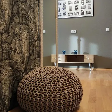 Apartment Stadtwohnung 2-zimmer 3 Schlafplatze Mannheim